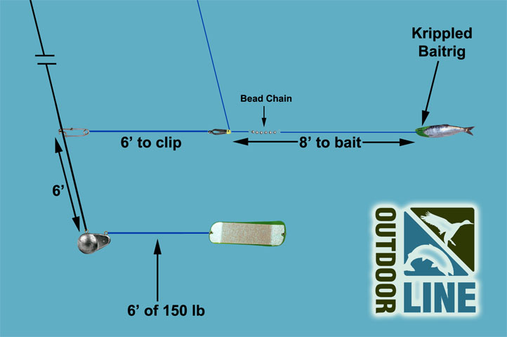 A new Downrigger “Spin” on Herring!