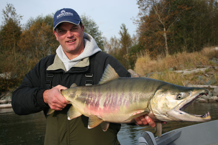 Rob Endsley of the Outdoor Line with a huge Skagit River chum salmon caught on a twitched jig