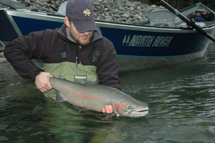 Winter Steelhead: Sight vs. Smell