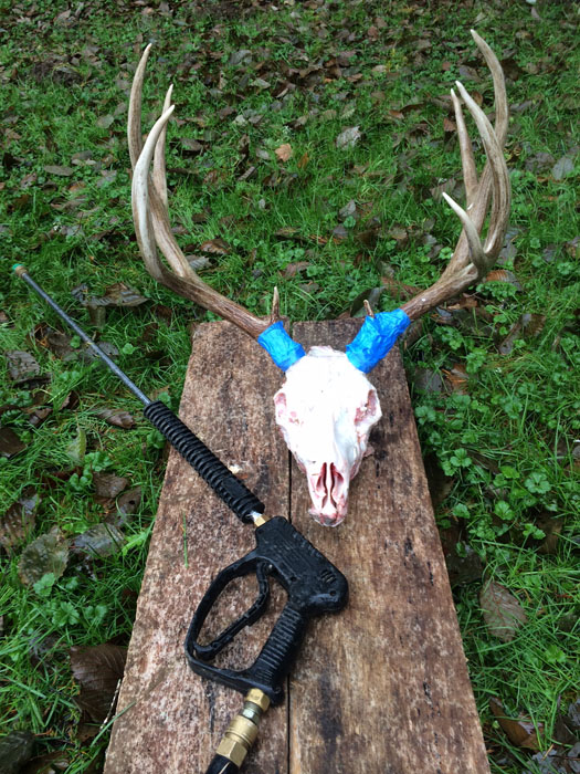 How do you mount deer skulls?