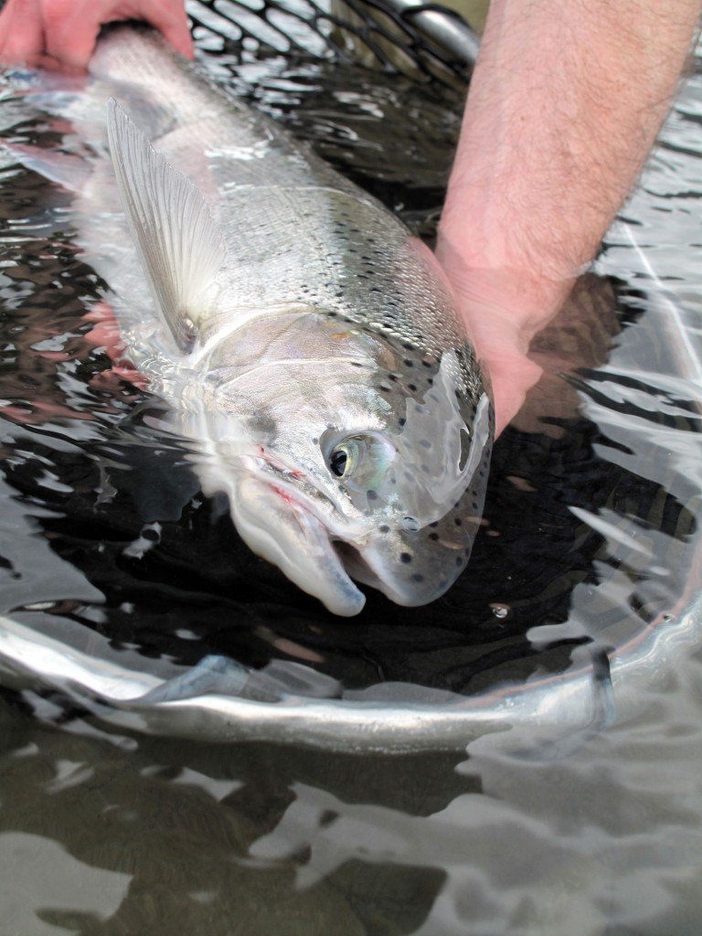 Rivers with wild fish are in wild places-Jason Brooks