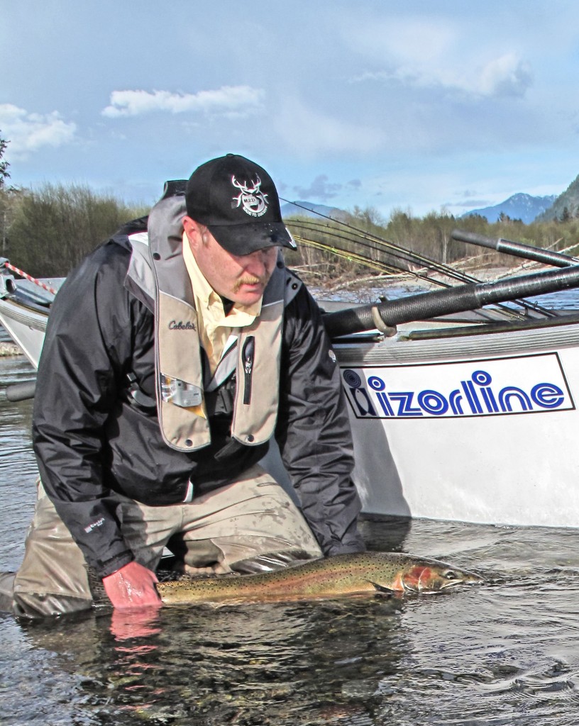 The author about to release a wild steelhead, keeping it in the water at all times-Jason Brooks