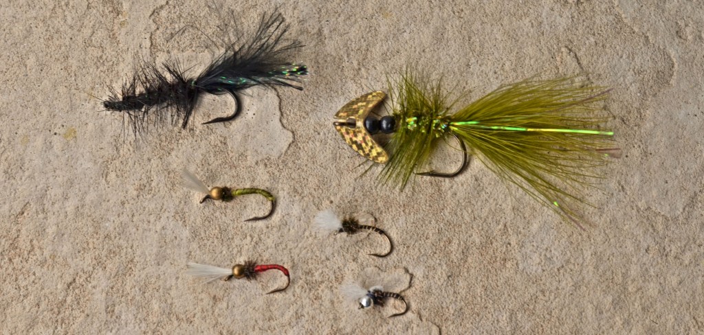 The whooly bugger, Mack's Smile Blade Fly, and Chironomids are productive flies for trout -Jason Brooks