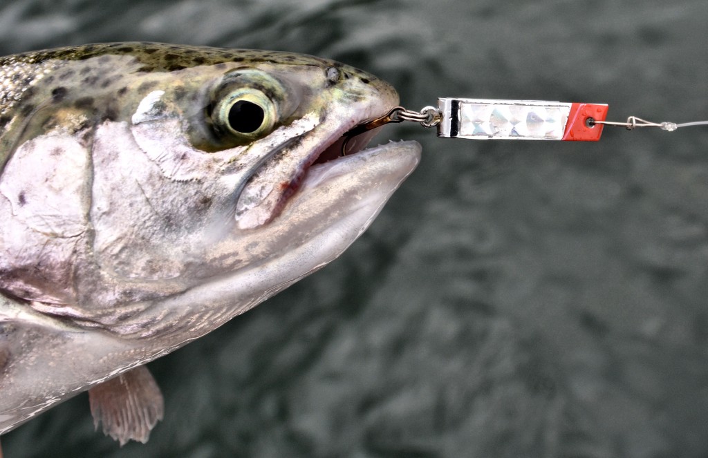 The Super Duper by Luhr Jensen is one of the author's favorite trout lures -Jason Brooks