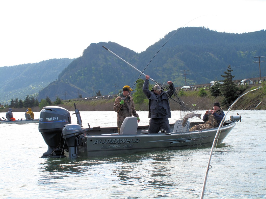 Columbia River Gorge Tributaries are always productive-Jason Brooks