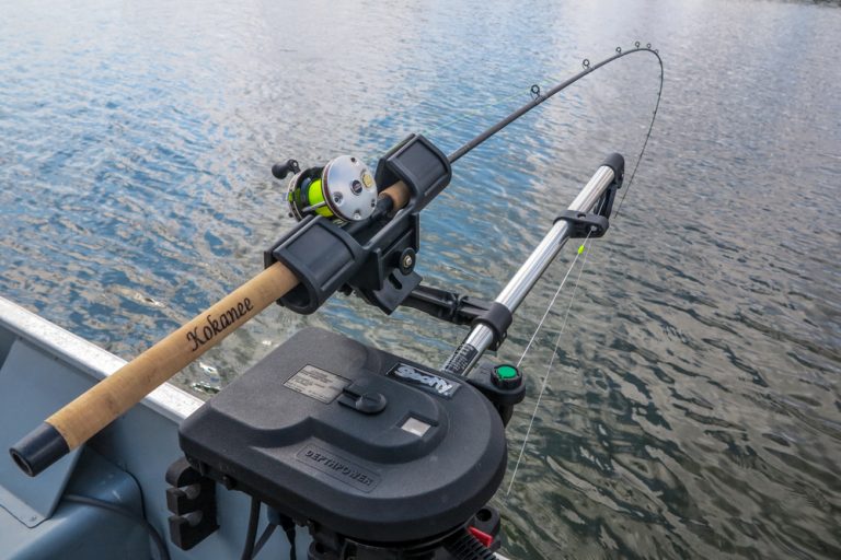 Catch More Kokanee with these Useful Tips The Outdoor Line Blog