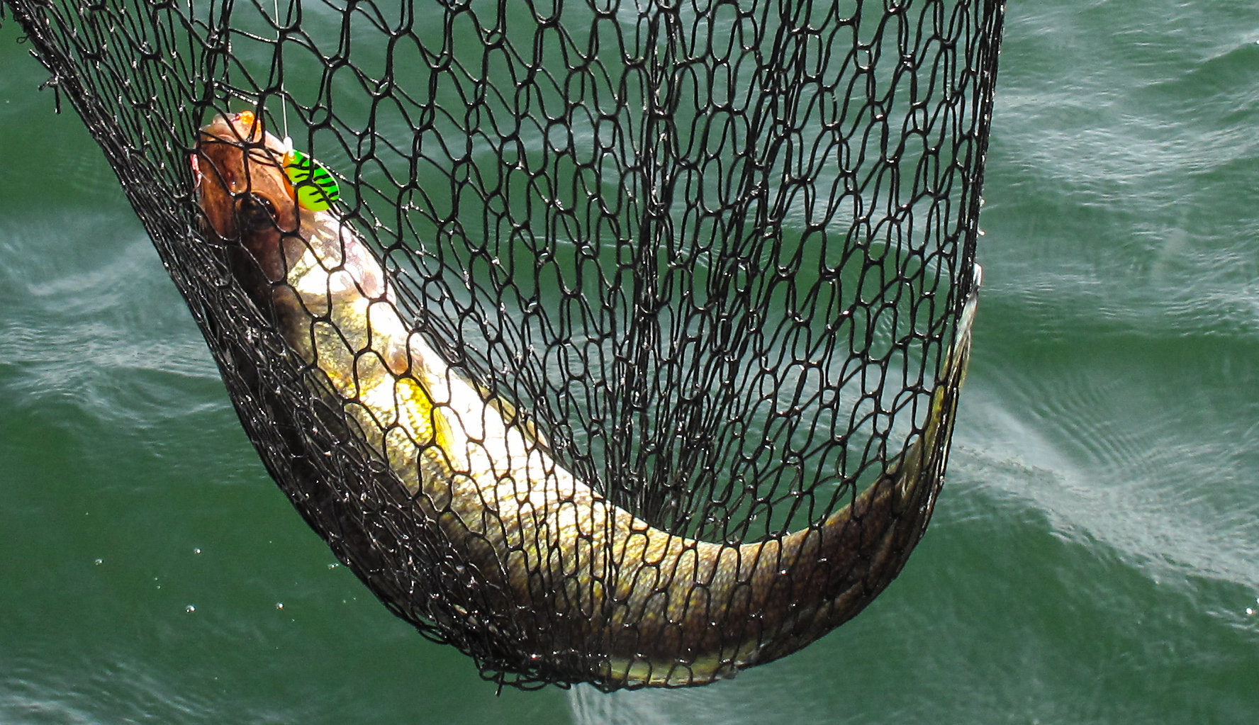 Walleye Time! The Outdoor Line Blog