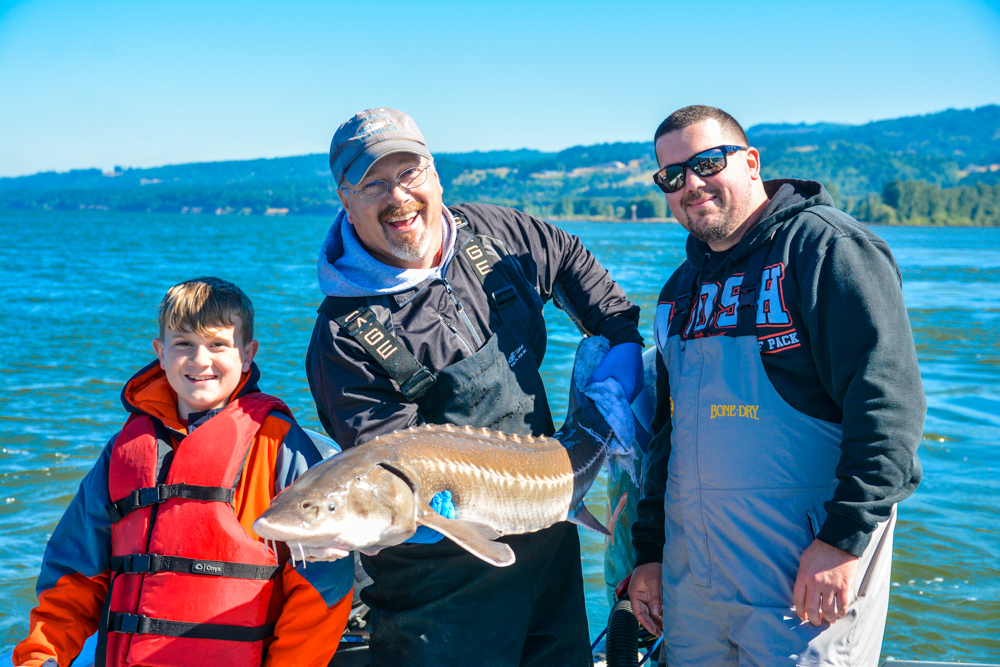 Columbia River Catch and Release Sturgeon