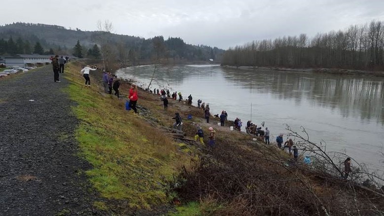 Chances of smelt dip-net fishery on Cowlitz River are unlikely, but hinge  on in-season updates