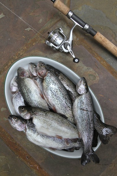 Trout anglers head to favorite waters on lowland lake opener April 23