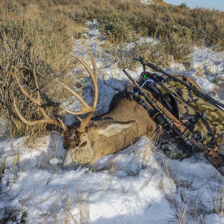 Tips for Washington Special Permit Hunts The Outdoor Line Blog