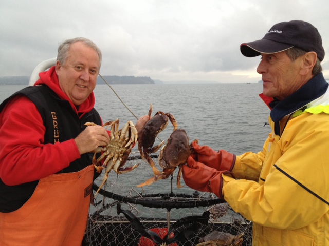 Puget Sound Dungeness crab fisheries faced with summer closures south of  Vashon Island due to poor abundance levels