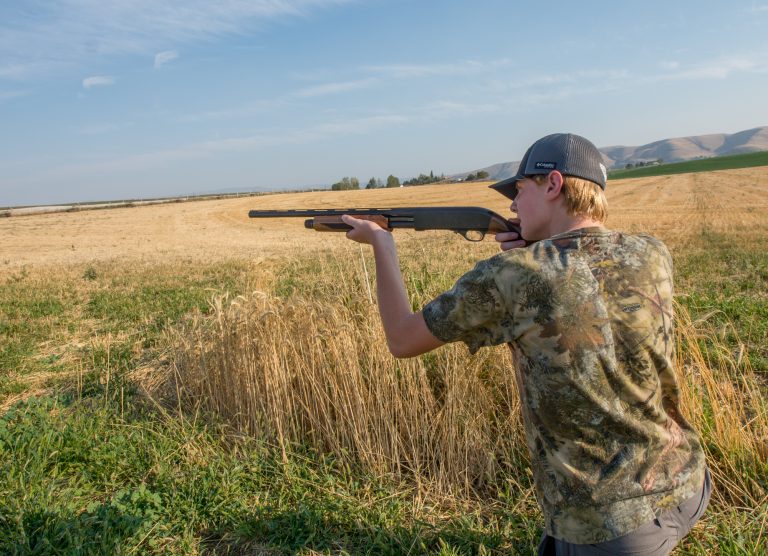 Dove Hunting Tips The Outdoor Line Blog