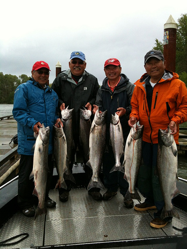 Here's some holiday cheer to get excited about! If the stars align, spring  and early summer Columbia River salmon returns could offer decent fishing  in 2024