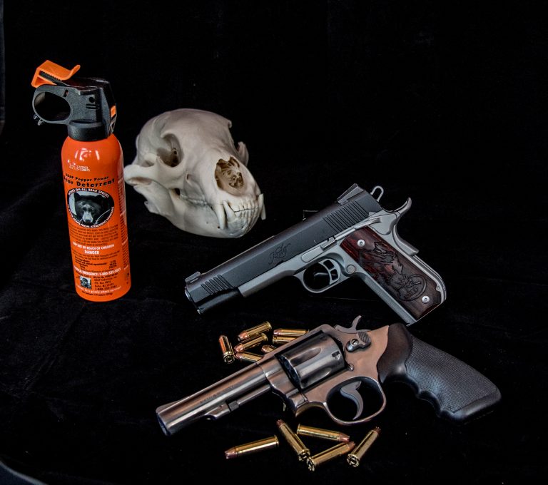 Best Bear Defense The Outdoor Line Blog