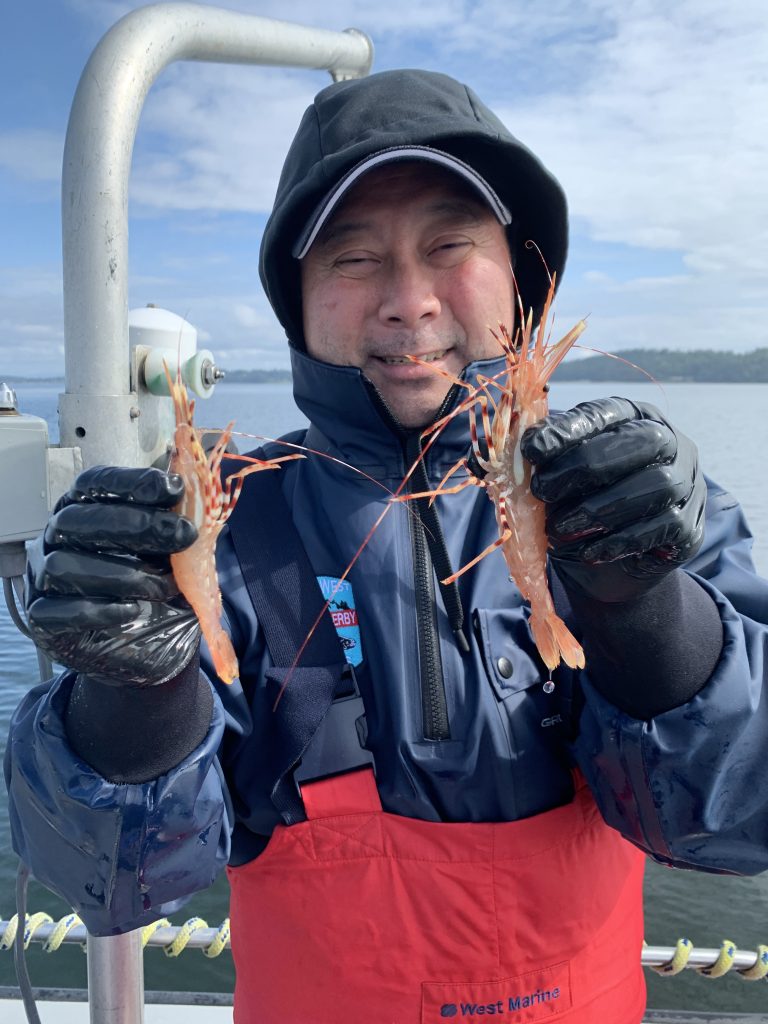 Look for a spoton Puget Sound spot shrimp season beginning Wednesday