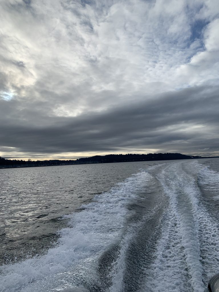 Puget Sound squid jigging sputters out of the starting gate, but a great  deal of other autumn fishing and razor clam digging options to be had