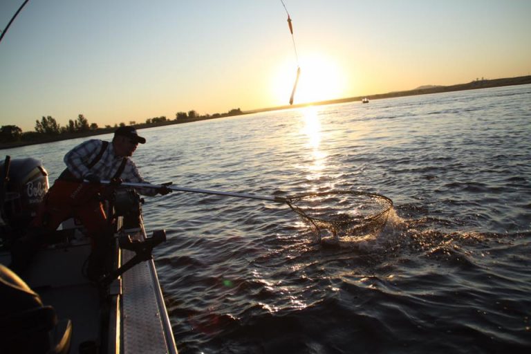 Columbia River spring Chinook fisheries announced with slightly