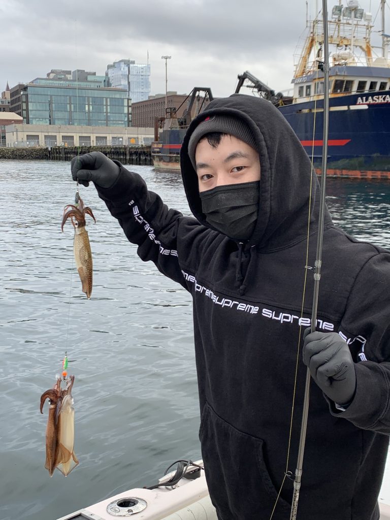 Squid jigging around Puget Sound finally picks up for pier and