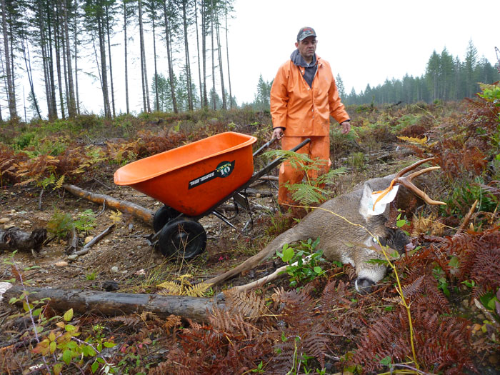 fein_2012_blacktail_buggy.jpg