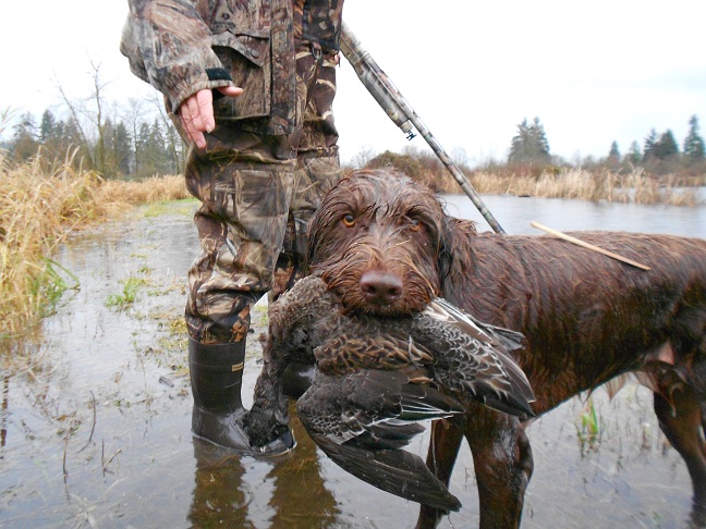 Heckman Duck Hunt.... With JP 026.JPG