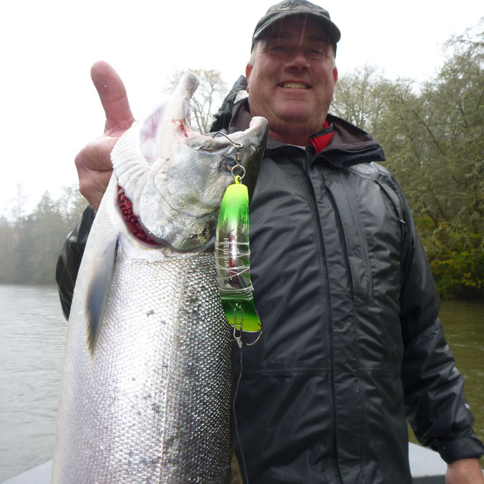 2014_kwikfish_silver_web.jpg