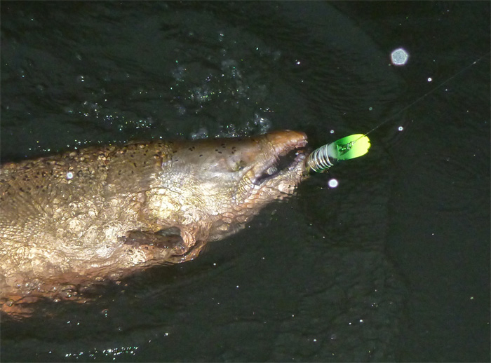 2014_kwikfish_king.jpg