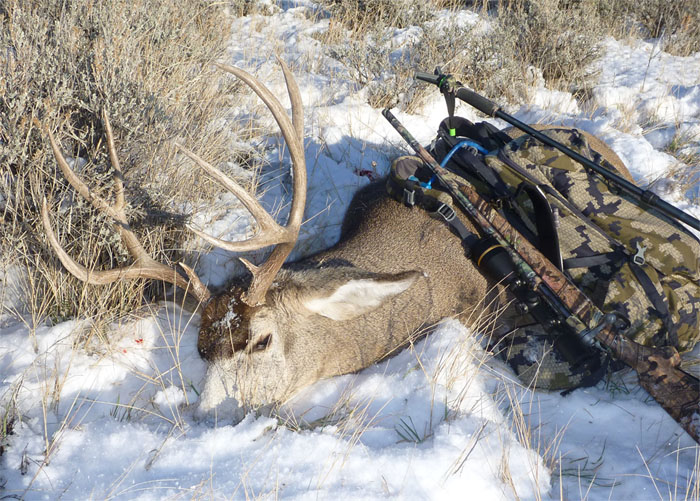 endsley_mule_deer_web2.jpg