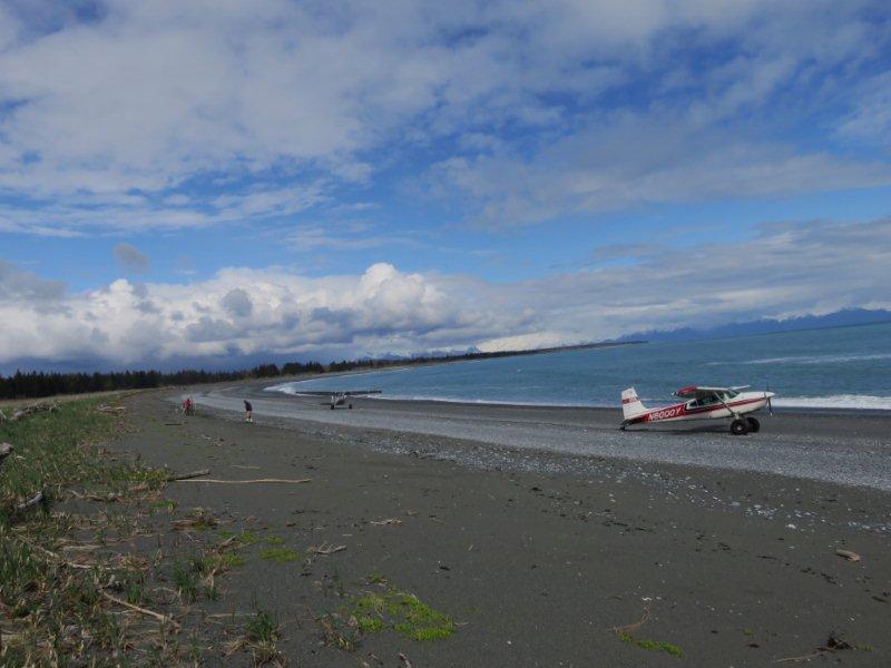 Exploring a beach.jpg