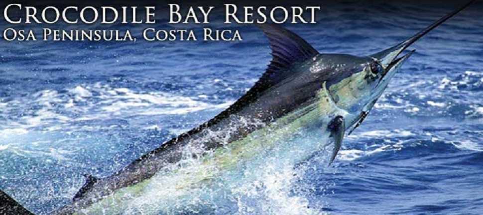 Crocodile-Bay-Resort (1).jpg