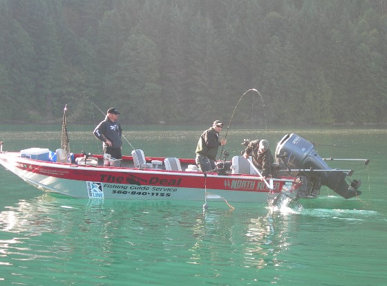 Real%20deal%20Sockeye%20560x414.jpg