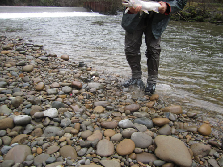 quinault_beach10.jpg