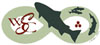Wild Steelhead Coalition