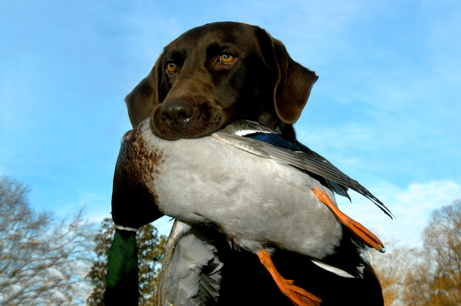 Outdoor Line Waterfowl Weekend at Mar Don Resort
